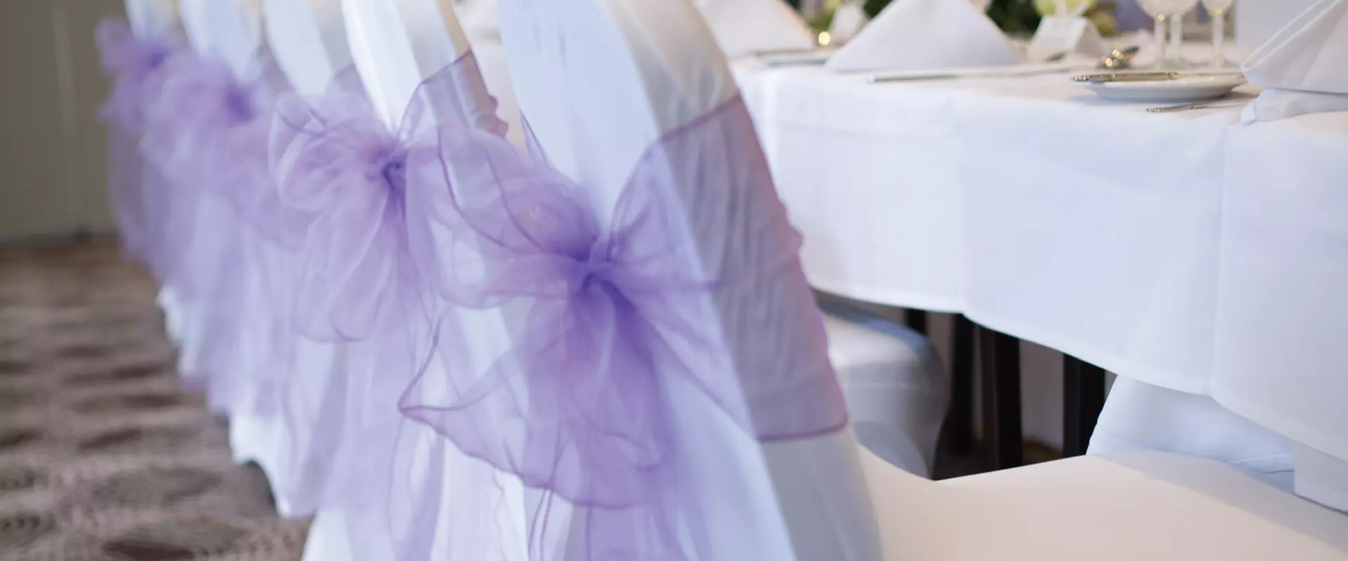 White chairs set up for a wedding with purple bows..