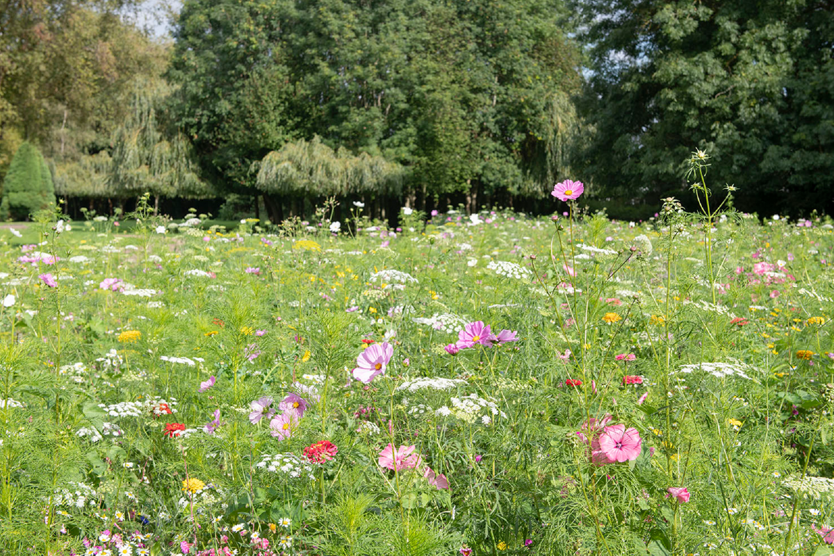 Sustainable events in Leeds, West Yorkshire.